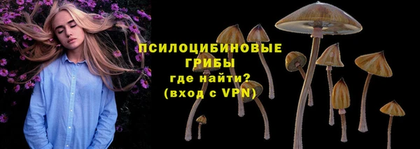 круглые Алексеевка
