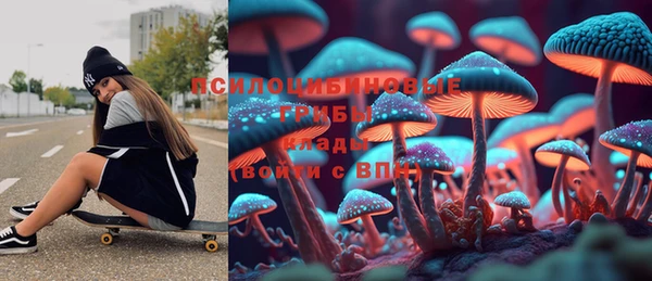круглые Алексеевка