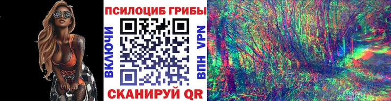 Псилоцибиновые грибы мицелий  даркнет официальный сайт  Краснокамск 